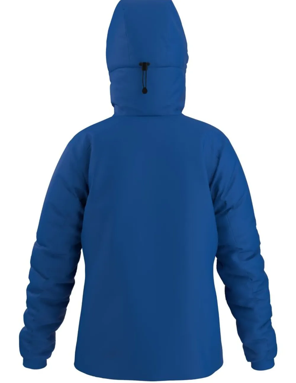 Heren Arcteryx Atom SV Hoody W