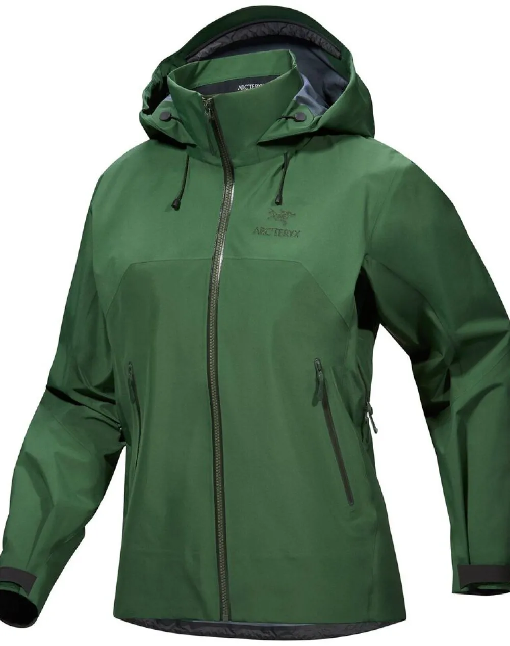 DAMES Arcteryx Beta AR jacket womens