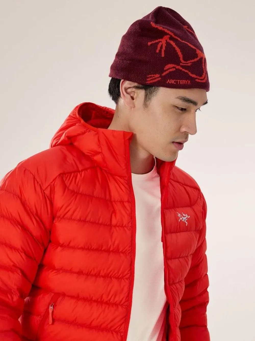 DAMES Arcteryx Bird head toque