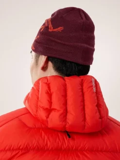 DAMES Arcteryx Bird head toque