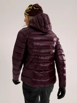 DAMES Arcteryx Cerium SV hoody W
