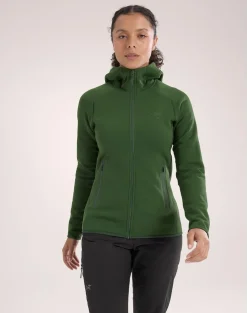 Heren Arcteryx Kyanite Hoody W
