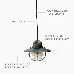 Barebones Edison pendant light usb