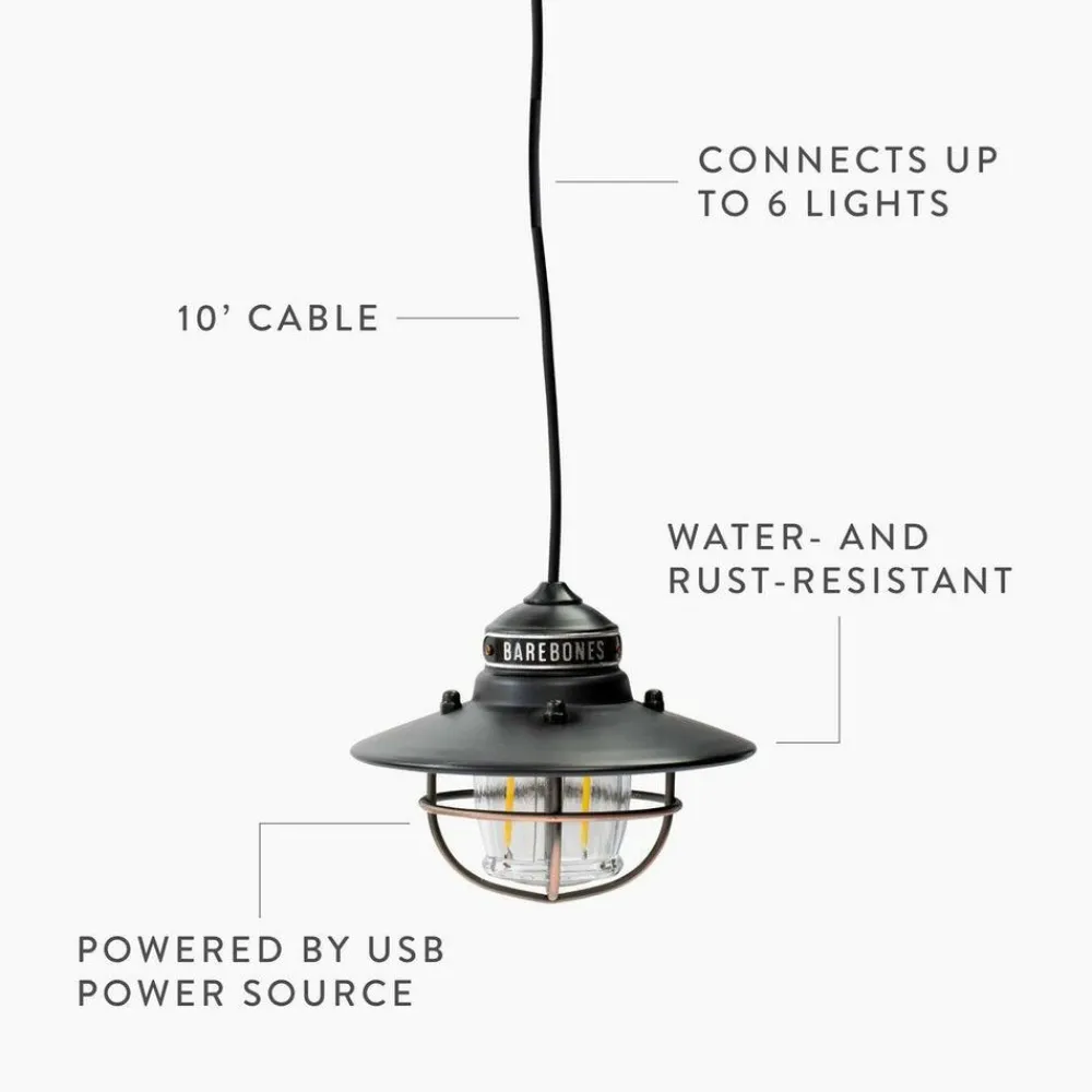 Barebones Edison pendant light usb