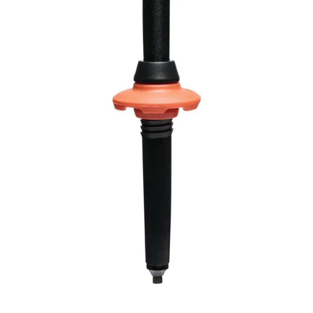 Black Diamond Trail Cork Trekking poles