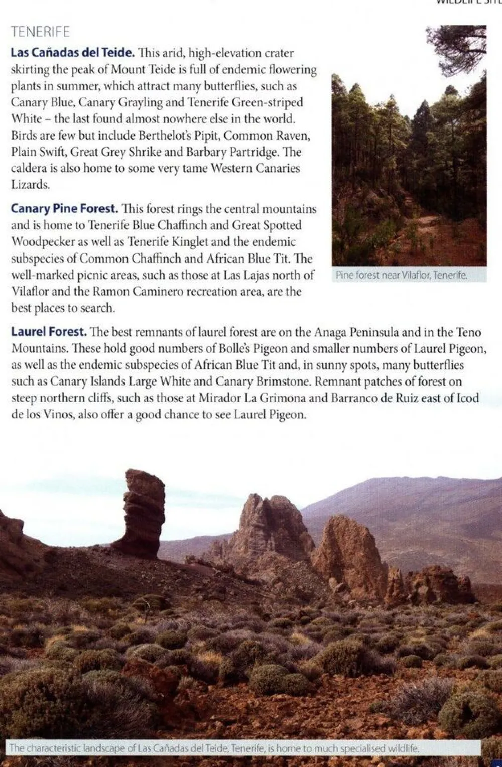 Boeken Overig Wildlife of Madeira & The Canary Islands