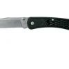 Buck Slim EDC Folding Hunter Black