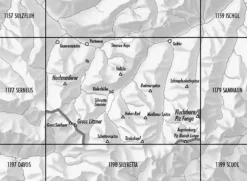 Bundesamt - Swisstopo Topografische kaart 1178 Gross Litzner