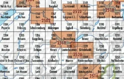 Bundesamt - Swisstopo Topografische kaart 1210 Innertkirchen
