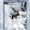 Cicerone Klimgids Winter Climbs Ben Nevis and Glen Coe