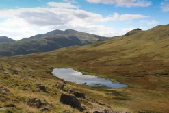 Cicerone Langdale - Walking The Lake District Fells