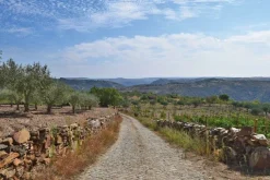 Cicerone Walking in Portugal