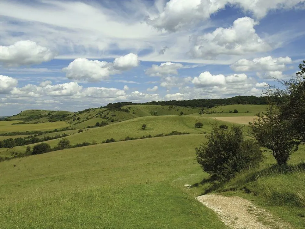 Cicerone Wandelgids Walking in The Chilterns