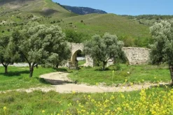 Cicerone Wandelgids Walking in Cyprus