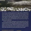 Collins Wandelgids The Comeragh, Galtee, Knockmealdown