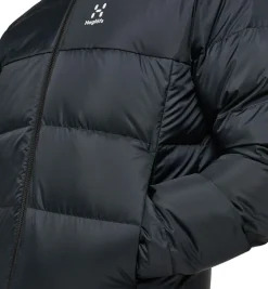 Heren Haglofs Asp 3 in 1 parka GTX parka men