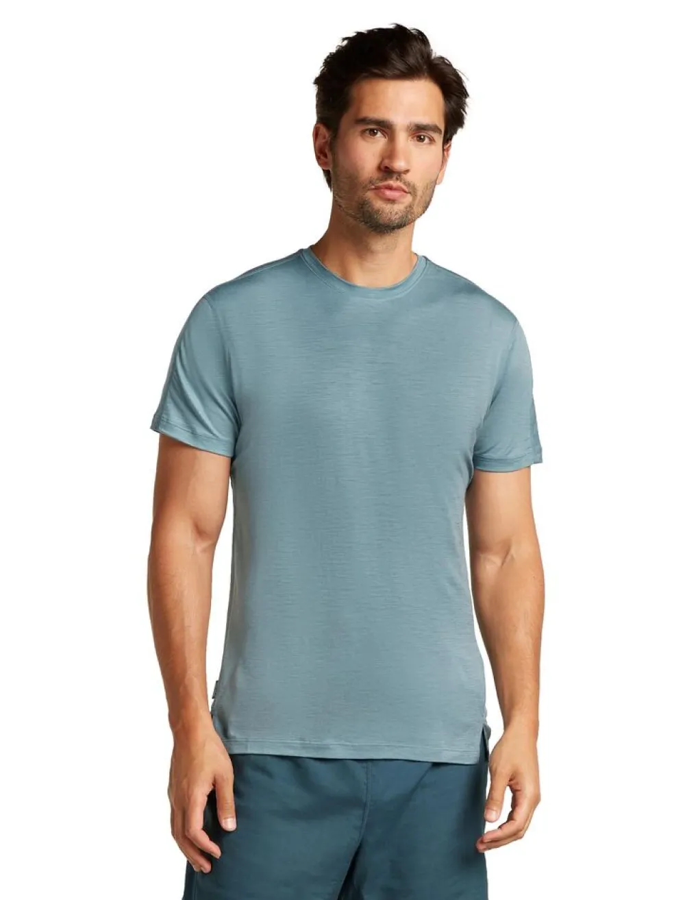 Heren Icebreaker M Merino 150 Ace SS Tee