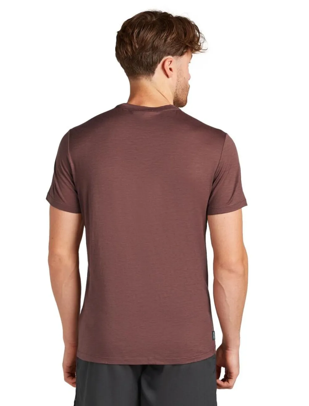 Heren Icebreaker M Merino 150 Tech Lite ss Tee Single Line Camp