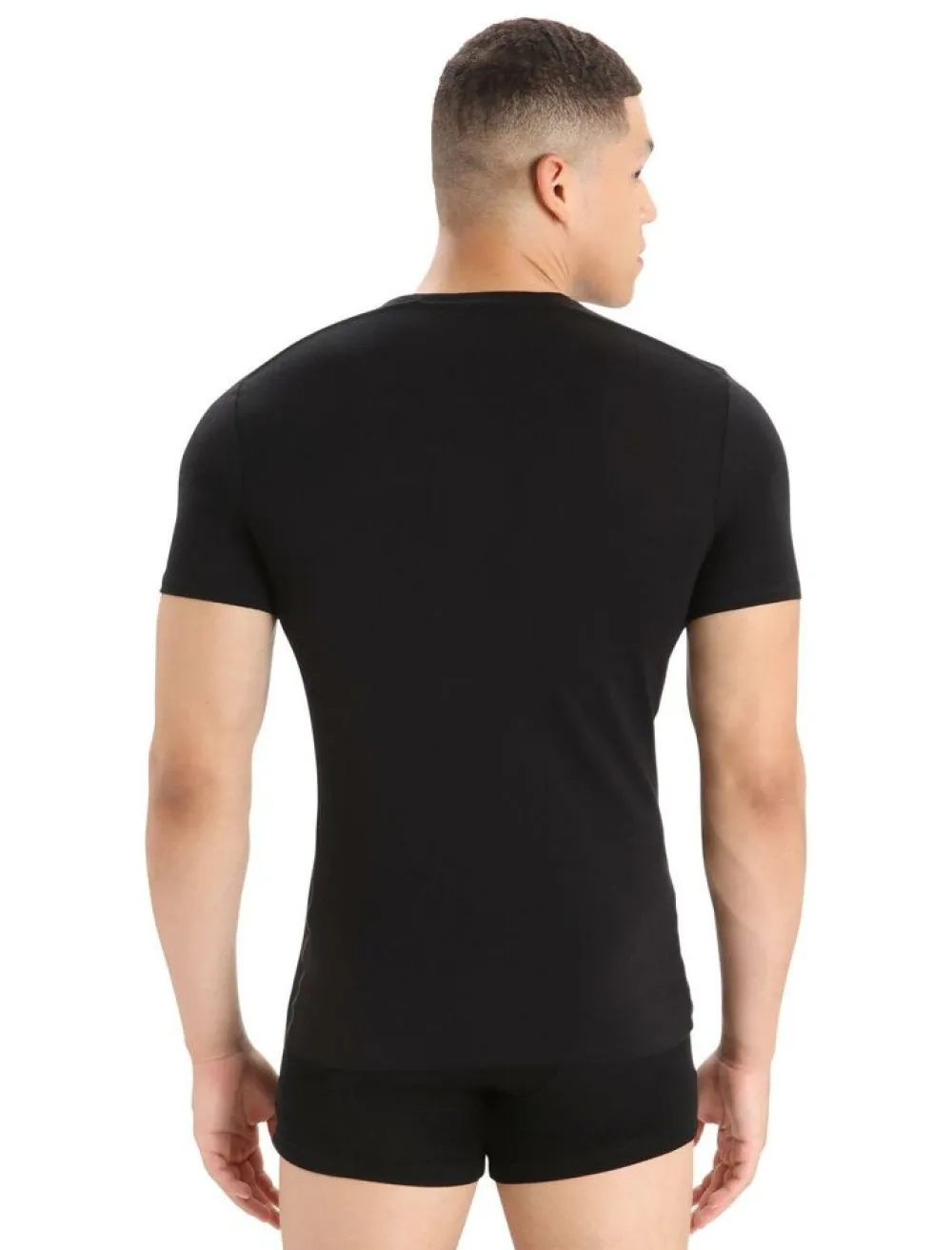 Heren Icebreaker Mens anatomica ss crewe