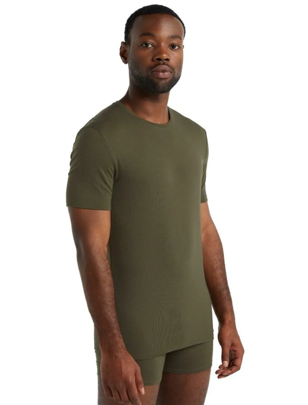 Heren Icebreaker Mens anatomica ss crewe