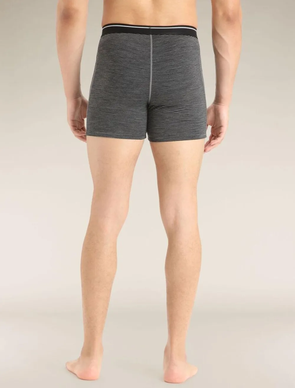 Heren Icebreaker Mens anatomica boxers