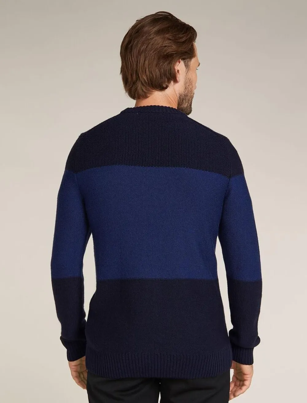 Heren Icebreaker Mens waypoint crewe sweater