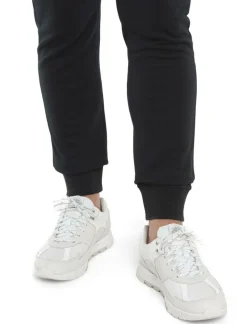 DAMES Icebreaker W mer crush II pants