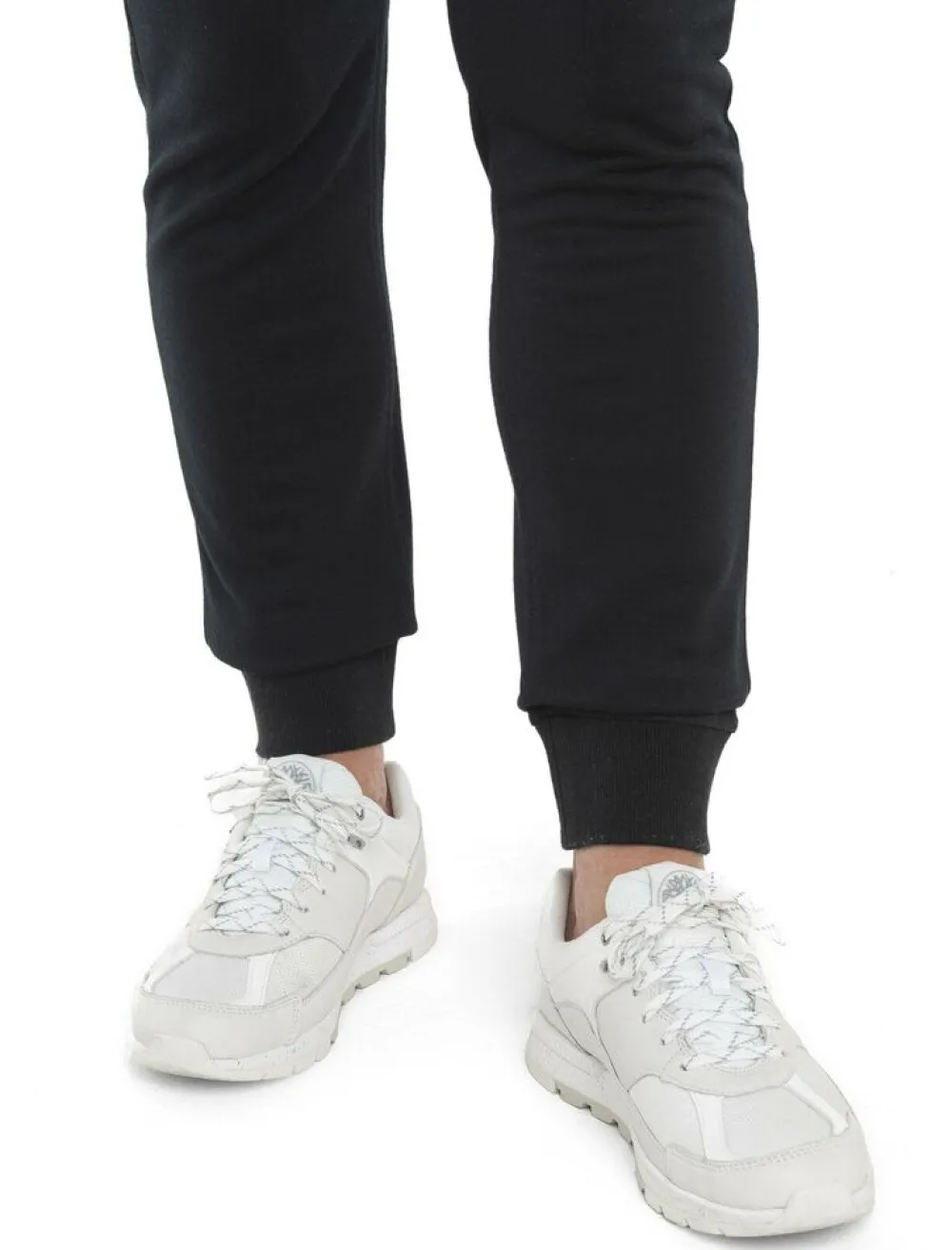 DAMES Icebreaker W mer crush II pants
