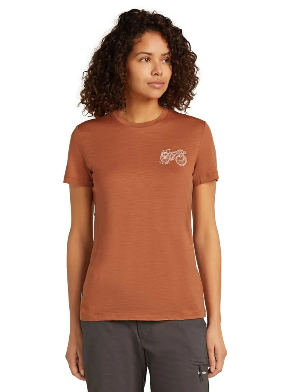DAMES Icebreaker W Merino 150 Tech Lite ss Tee Adventure Ride