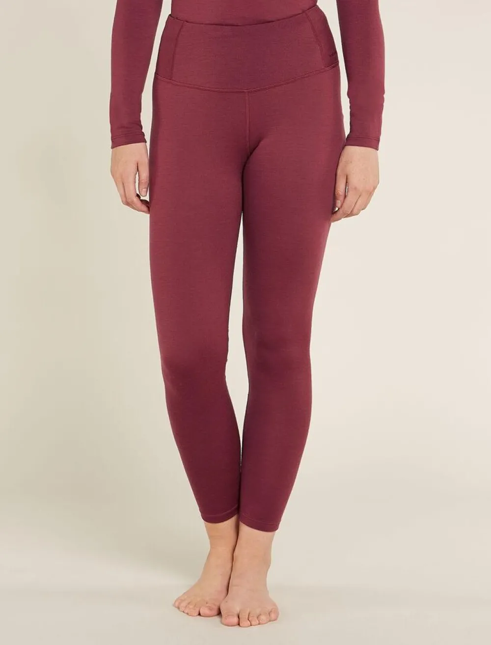 DAMES Icebreaker W Merino 260 Tech High Rise Leggings