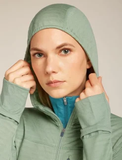DAMES Icebreaker W Merino Blend 300 RealFleece™ Descender LS Zip Ho