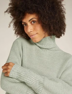 DAMES Icebreaker W Seevista funnel neck