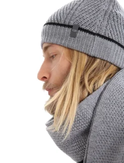 DAMES Icebreaker Waypoint beanie