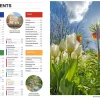Lonely Planet Netherlands 9