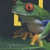 National Geographic Costa Rica (NL)