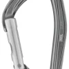 Petzl Djinn carabiner straight gate gray