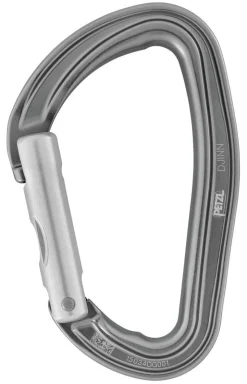 Petzl Djinn carabiner straight gate gray