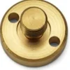 Primus Brass Screw for 3289