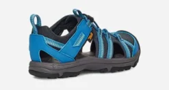 Teva Y manatee