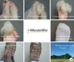 wandelwol 10 gram