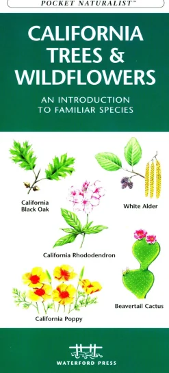 Waterford California Trees & Wildflowers